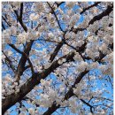 동궁과월지 화장실 | 경주팬션 봄 여행으로 딱이었던 동궁과 월지 근처 숙소 후기 :)