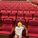 어린이 뮤지컬 삐노키오 이미지