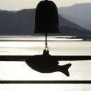 용담댐 오토캠핑장 이미지