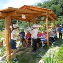 인천나비공원 이미지