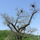 대호마을회관 이미지