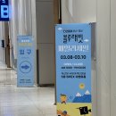 경남여객 | 2024 부산경남 블루래빗 패밀리세일 후기(3.8~10, 부산항 국제여객터미널 5층)