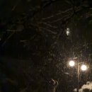 하너미로 | [충주 캠핑장 추천] 하너미 캠핑장 12번 사이트 후기｜눈 오는 날 겨울 캠핑 현실 체험