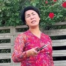 보은칼국수 이미지