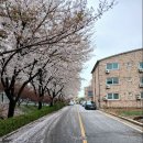 남산5리.행복마을 네이버블로그