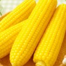 초당농장 이미지