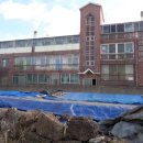 세화리해수욕장 이미지