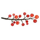 행복을주는닭 이미지