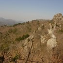 늘푸른 관광농원 이미지