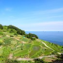 소망자동차정비 | 남해 가볼만한곳 베스트10 모음
