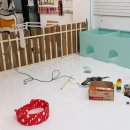 바우밸리 이미지