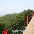 쪽섬목장 이미지