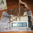 자산동203 이미지