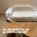 우두리포펫애견펜션