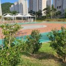 무동초등학교(신설) 이미지