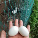 성근농장 이미지