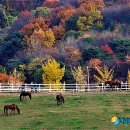 은상목장 이미지