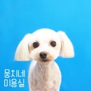 뭉치네 미용실 이미지