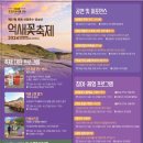 제27회 포천 산정호수 명성산 억새꽃 축제 이미지