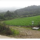 평창북로 이미지