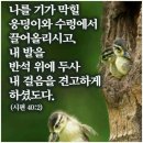 임마누엘 Daum카페