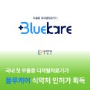 블루케어