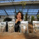 청신농장 이미지