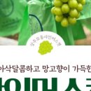 현가네 이미지
