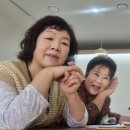 제주뉴트라이즈