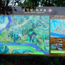 강정보 녹색길 이미지