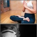 바다한의원 이미지