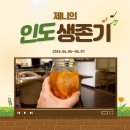생존기/빡칠 땐 여행을 가/근데 인도는 더 빡침/제니의 또간텔/페어몬트 자이푸르 후기/래플스 스파 후기