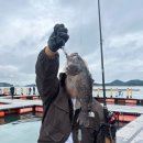 무기수산좌대낚시터 | 무기수산 자연산 좌대낚시 - 생각보다 좋았던 화장실, 멀미약 필수