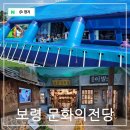장암 북고리 고인돌 | 충남 아이와 가볼만한곳 보령 문화의 전당 실내 전시 및 무료 물놀이장