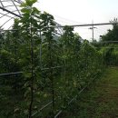 2020농장 이미지