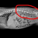 손수의과병원 이미지