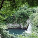 천제연약국 이미지