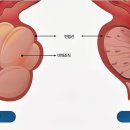 나인비뇨의학과의원 이미지