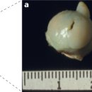 ABC 동물의료센터 이미지