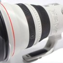 [캐논소식] EF 600mm F4 DO IS 렌즈 이미지