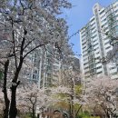 뉴현대114공인중개사사무소 | 서울시 서대문구 남가좌동 현대아파트 42평 141/114 매매