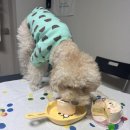 댕댕잇제과점 이미지