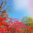 황매산오토캠핑장 숲속화장실 이미지