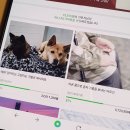 기부금_4정기결제
