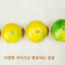 정우네농장 네이버블로그