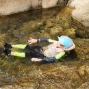 둥실둥실유치원 이미지