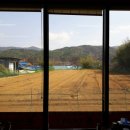 옥성순두부 이미지