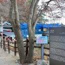 부소산성 낙화암 갈림길 이미지