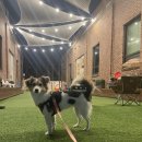 아이조아요양호텔 이미지