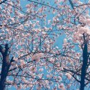 은파유치원 | April Shower